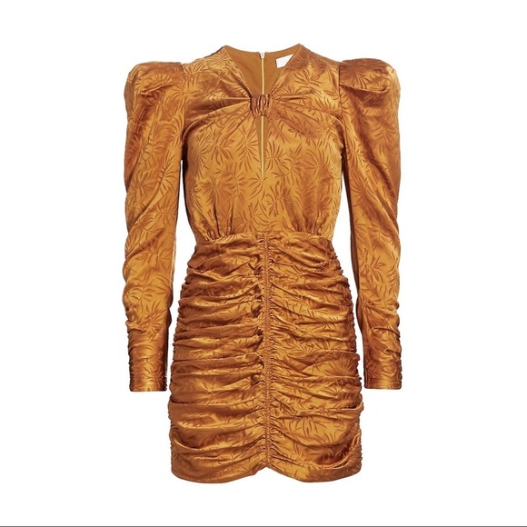 Ronny Kobo Flora Bronze Ruched Mini Dress - Picture 6 of 14
